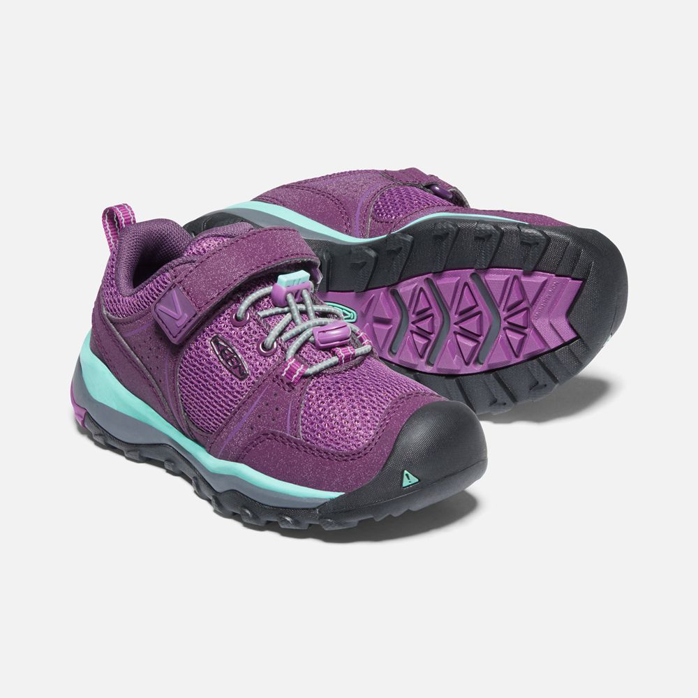 Keen Spor Ayakkabı Çocuk Mor - Terradora Ii Sport Vent Shoes - Türkiye CBMO71409